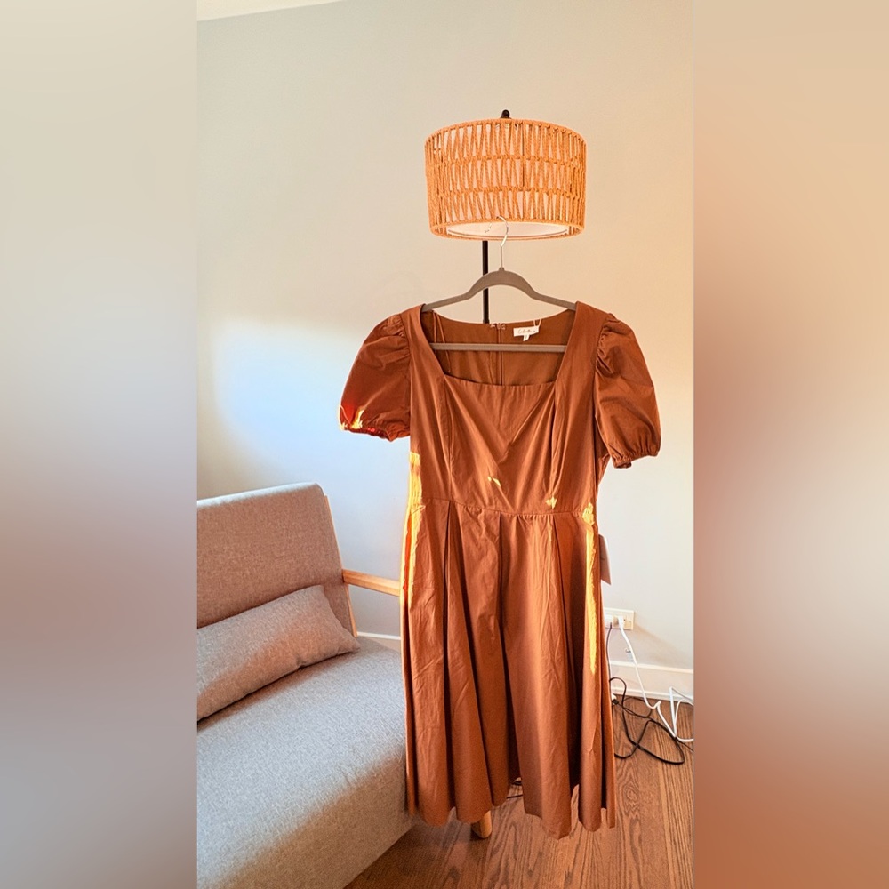 Elegant Brown Puff Sleeve Dress